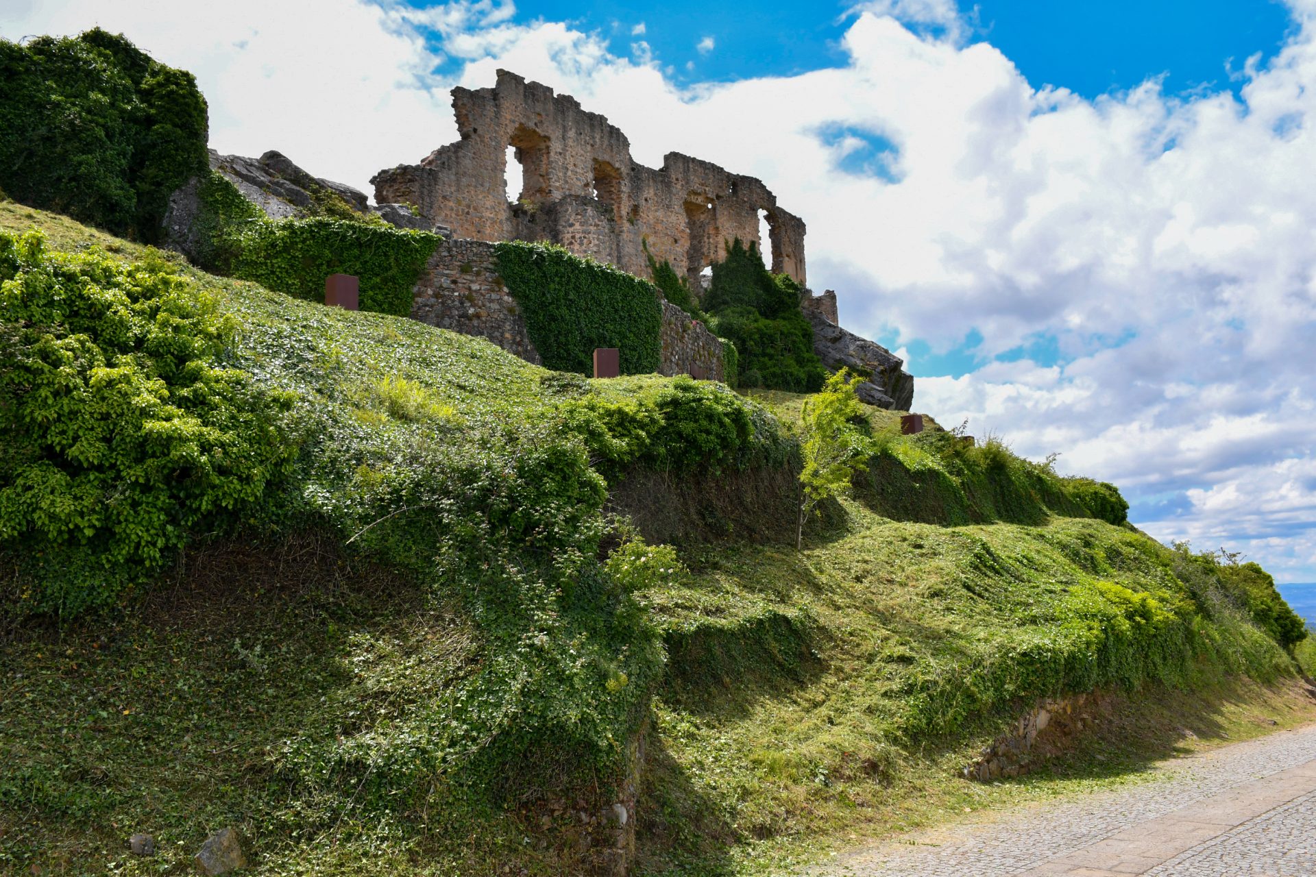 Limpeza Da área Envolvente às Muralhas Da Aldeia Histórica De Castelo Rodrigo (18)