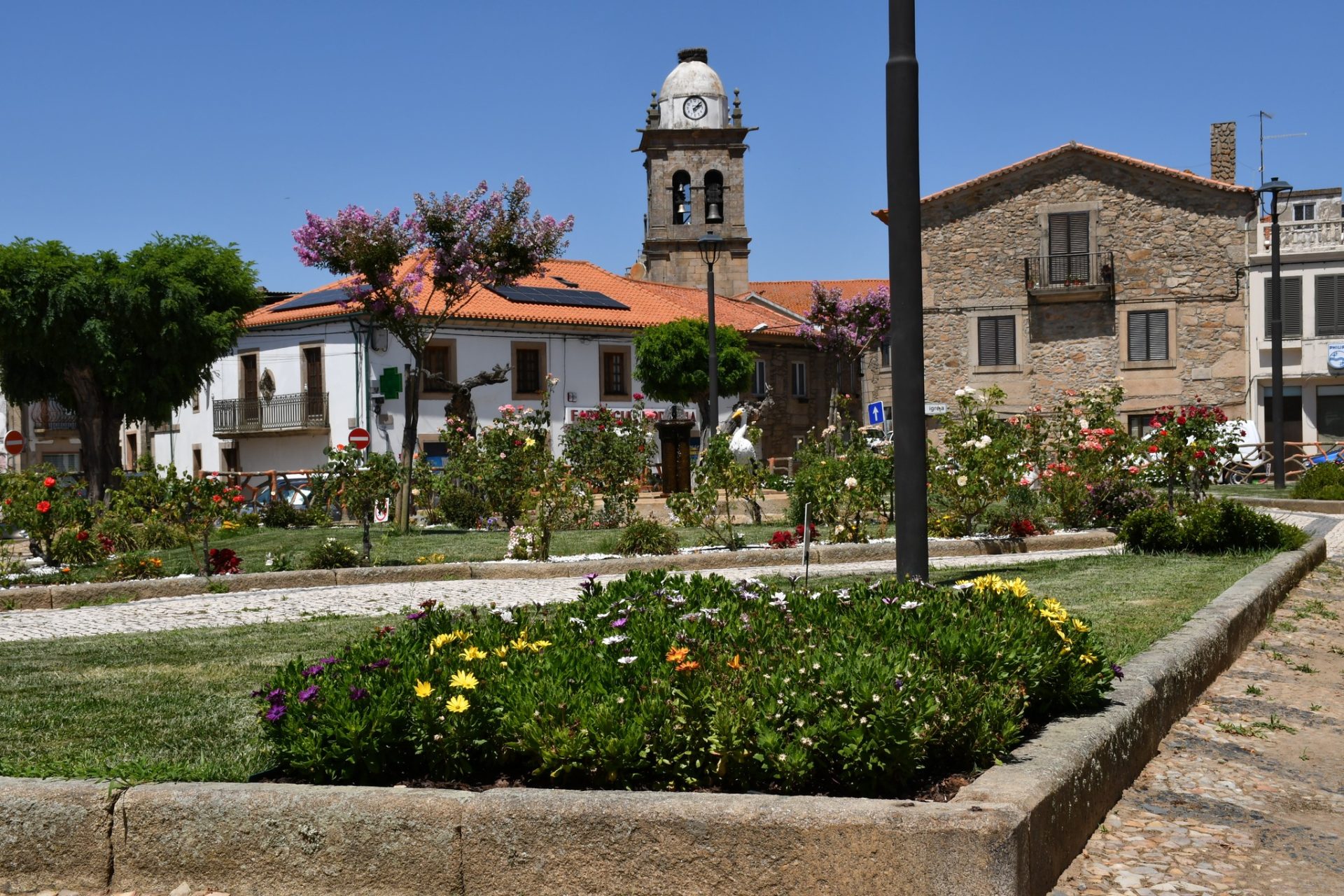 Substituição E Colocação De Novas Flores Na Vila (8)